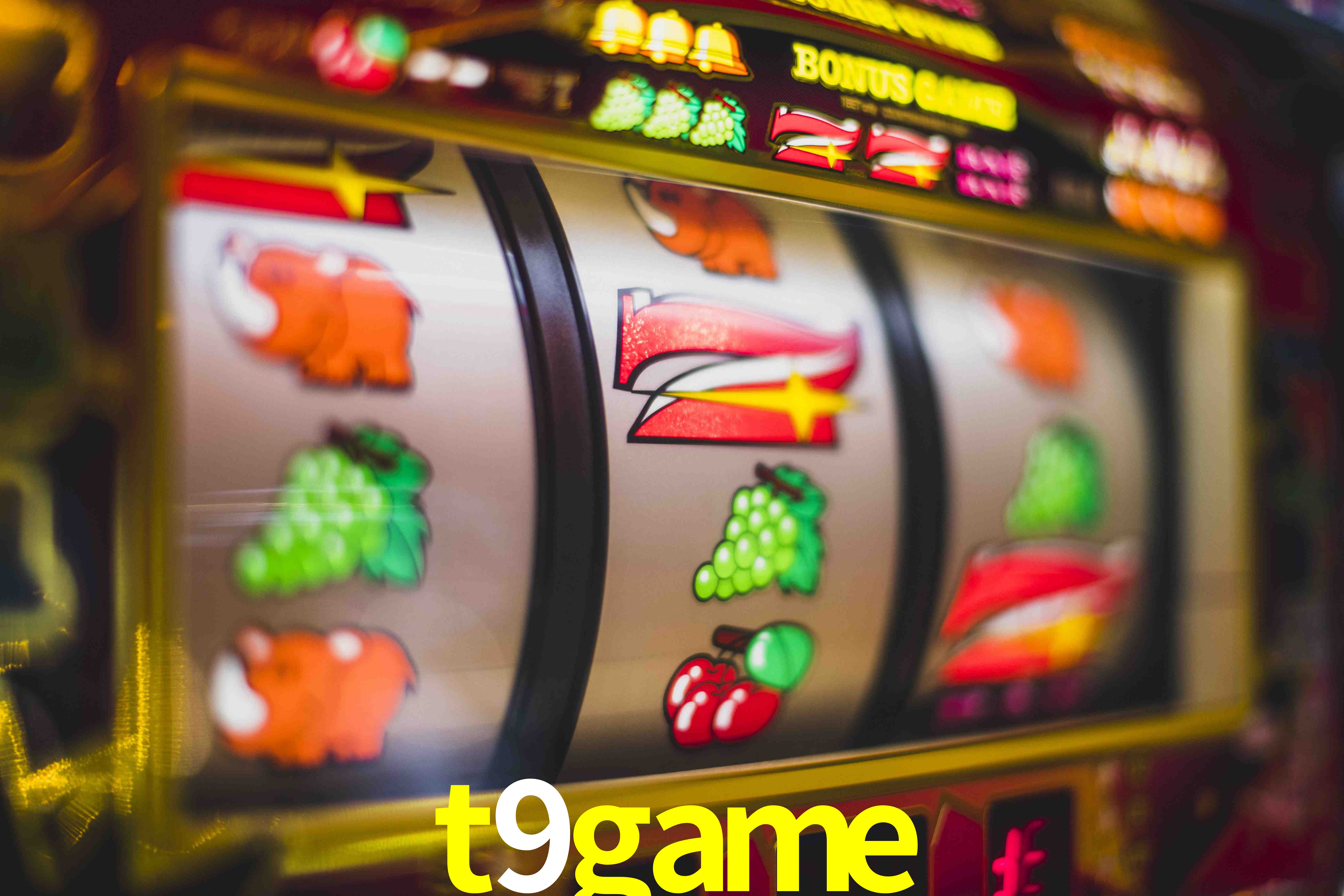 Live Casino t9game